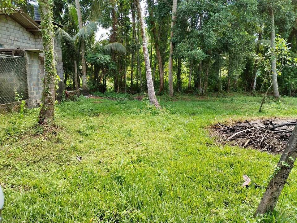 LAND FOR SALE IN MINUWANGODA