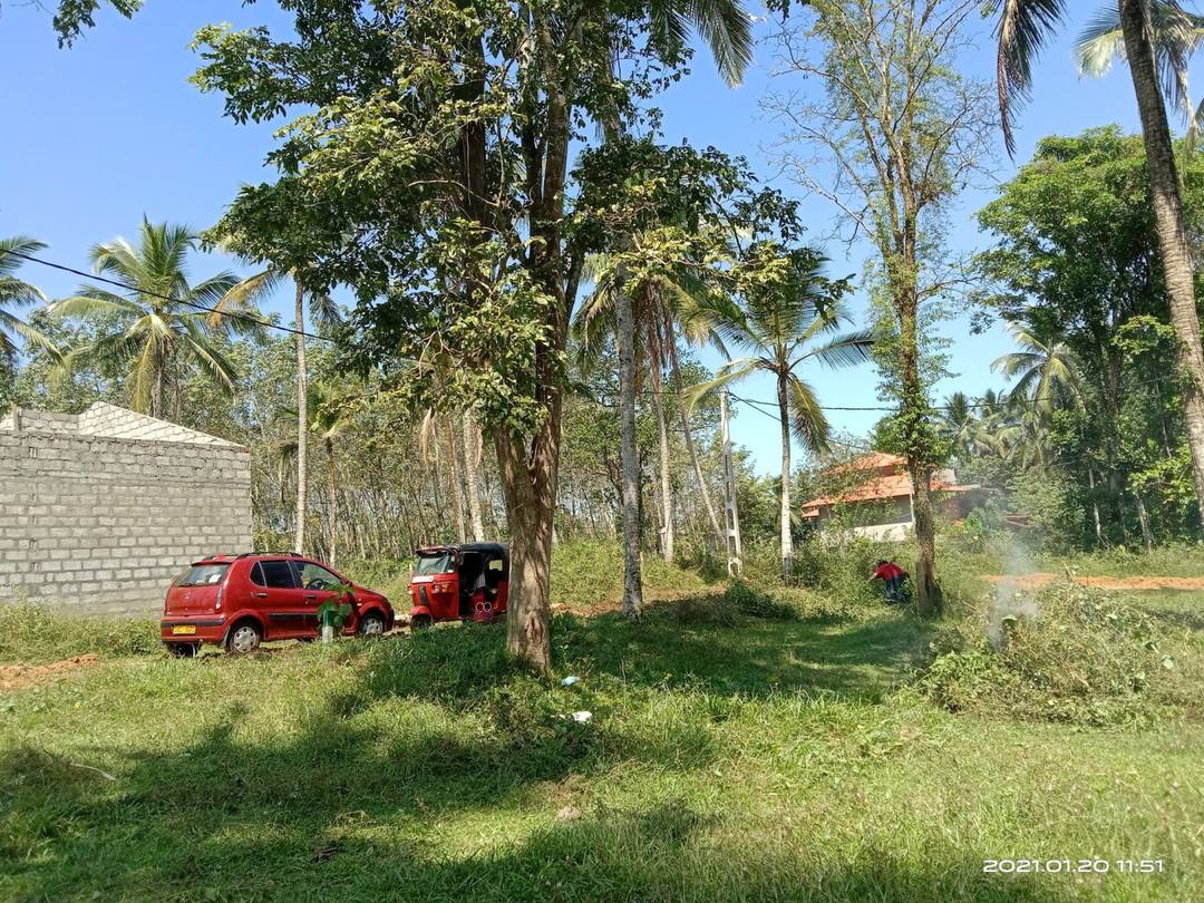 LAND FOR SALE IN KOSGAMA TOWN
