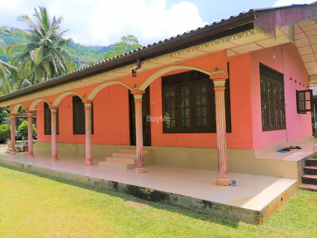 House For Sale with Tea Land - Avissawella