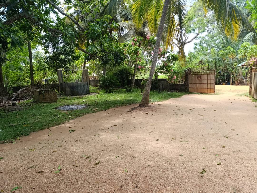 අනුරාධපුර නගරයට යාබදව අගනා ඉඩමක් විකිණීමට