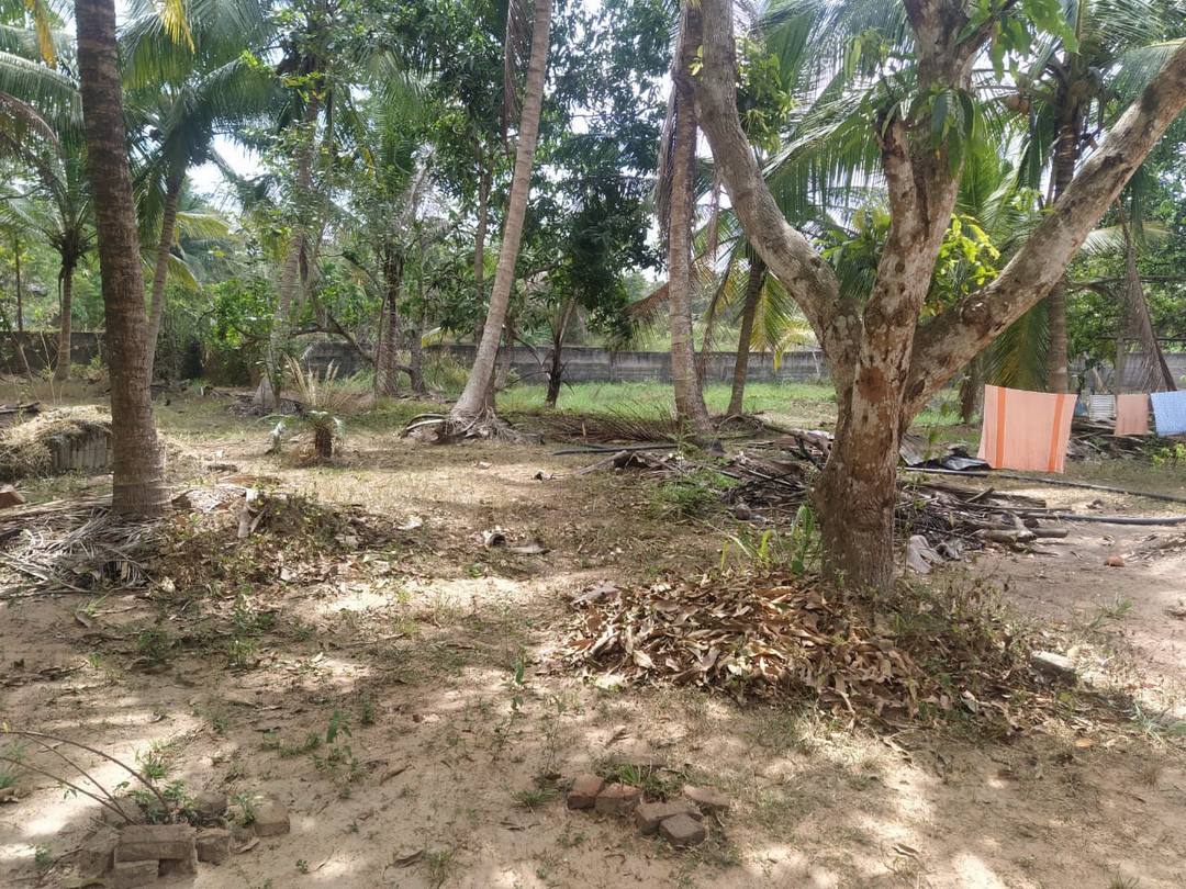 LAND WITH HOUSE FOR SALE NEAR DAMDENIYA