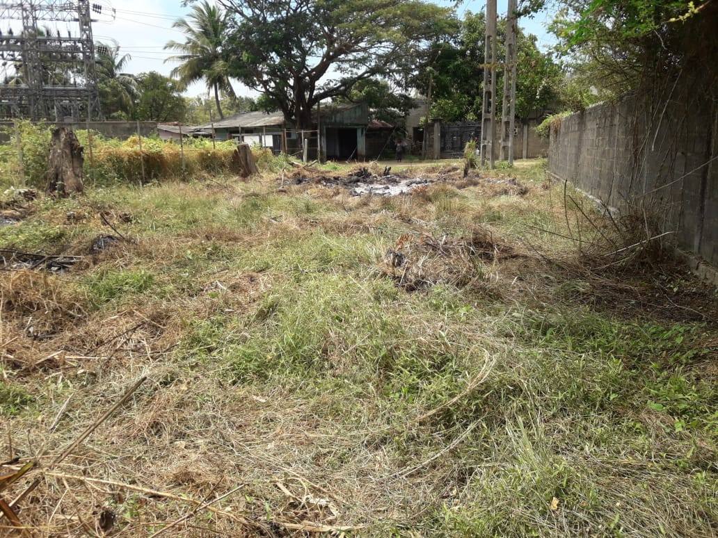 LAND FOR SALE IN CHILAW