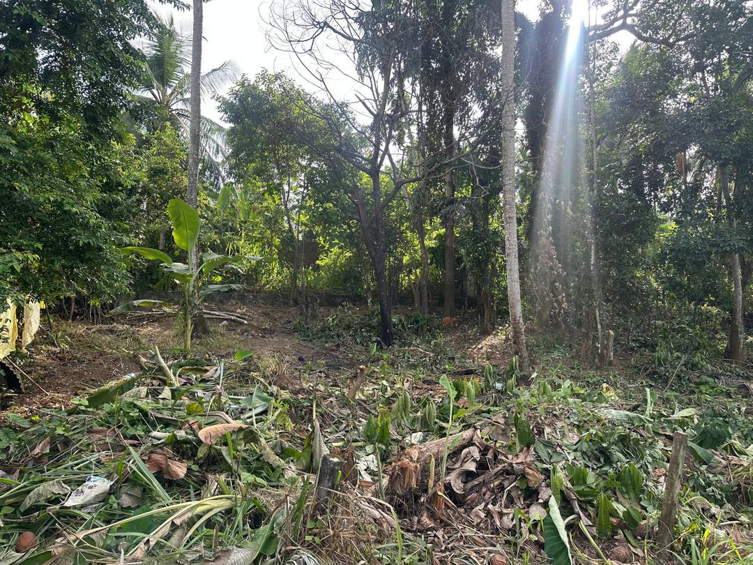 LAND FOR SALE IN KAHATHUDUWA PILIYANDALA