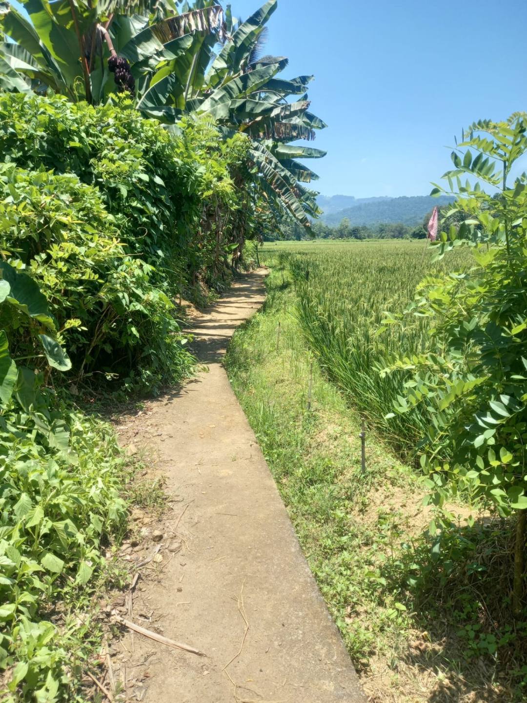 LAND FOR SALE IN DOLUWA