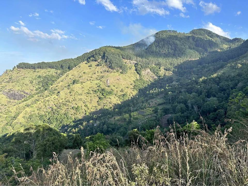 LAND FOR SALE IN ELLA