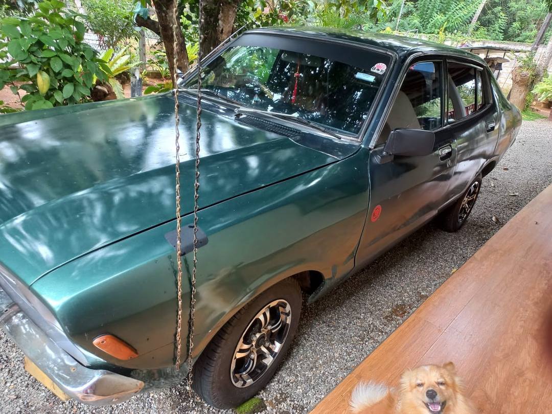 NISSAN SUNNY CAR 1979 FOR SALE