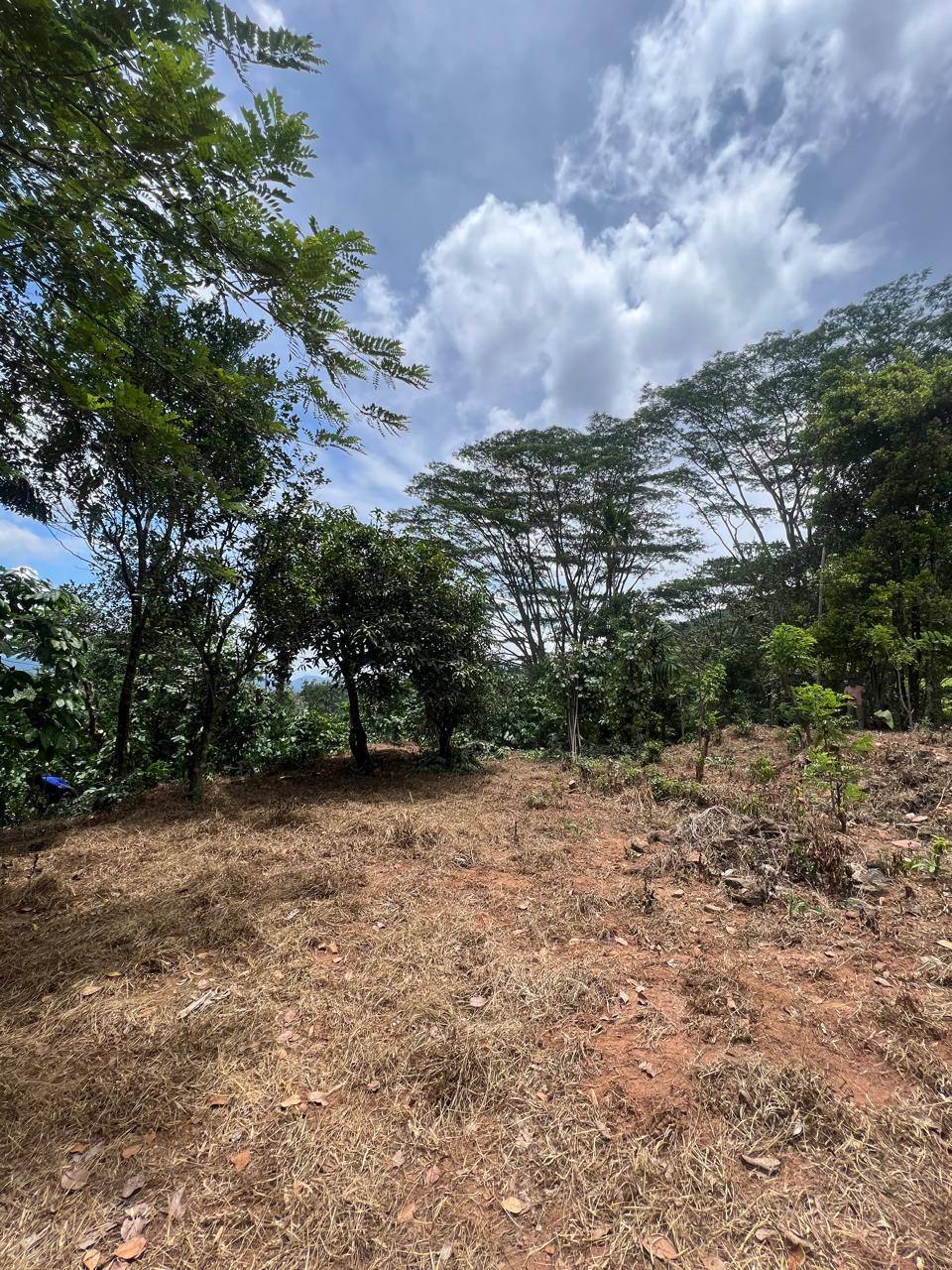 194-PERCH LAND FOR SALE IN WARIYAGALA, KANDY