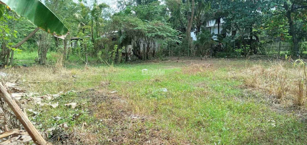 අනුරාධපුර, 3 වන පියවර පර්චස් 40ක සින්නක්කර ඔප්පු සහිත ඉඩමක් විකිනිමට ඇත.