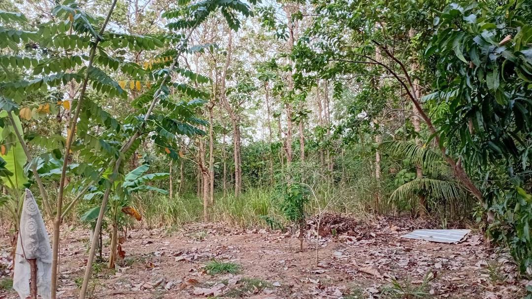 131-PERCH LAND FOR SALE IN THANAMALWILA