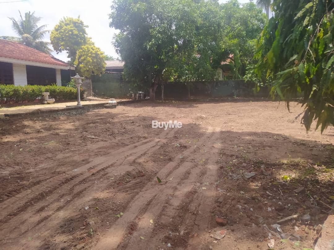 LAND FOR LEASE OR SALE IN KANDANA
