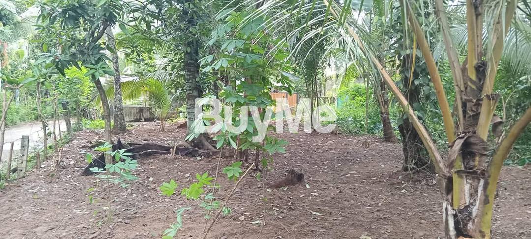 LAND FOR SALE IN KADAWATHA KIRILLAWALA
