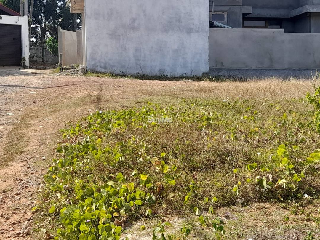 LAND FOR SALE IN MALABE