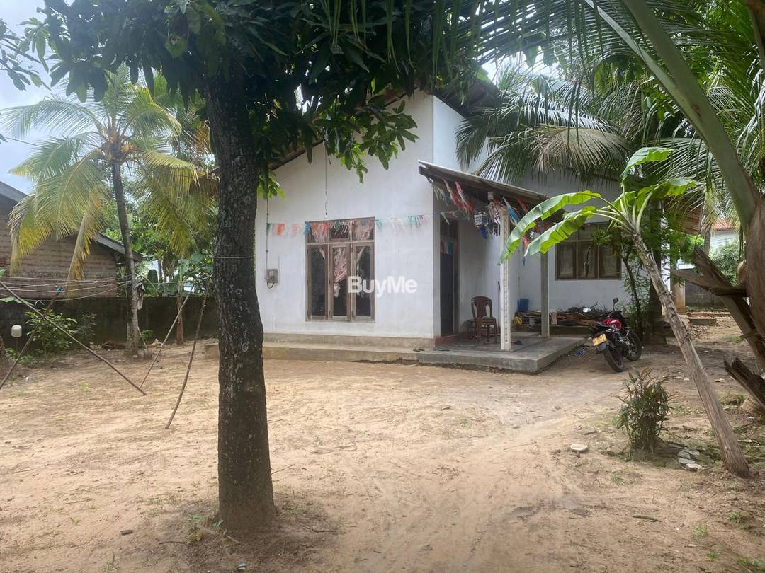 A LAND OF 20 PRECHES WITH UNFINISHED HOUSE FOR SALE AT PUNGHANANDA MAWATHA , DIBBADDA , PANADURA