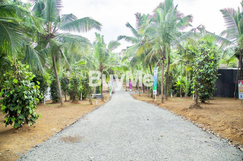 LAND FOR SALE IN KADAWATHA - SKY FOREST SAVI LANDS