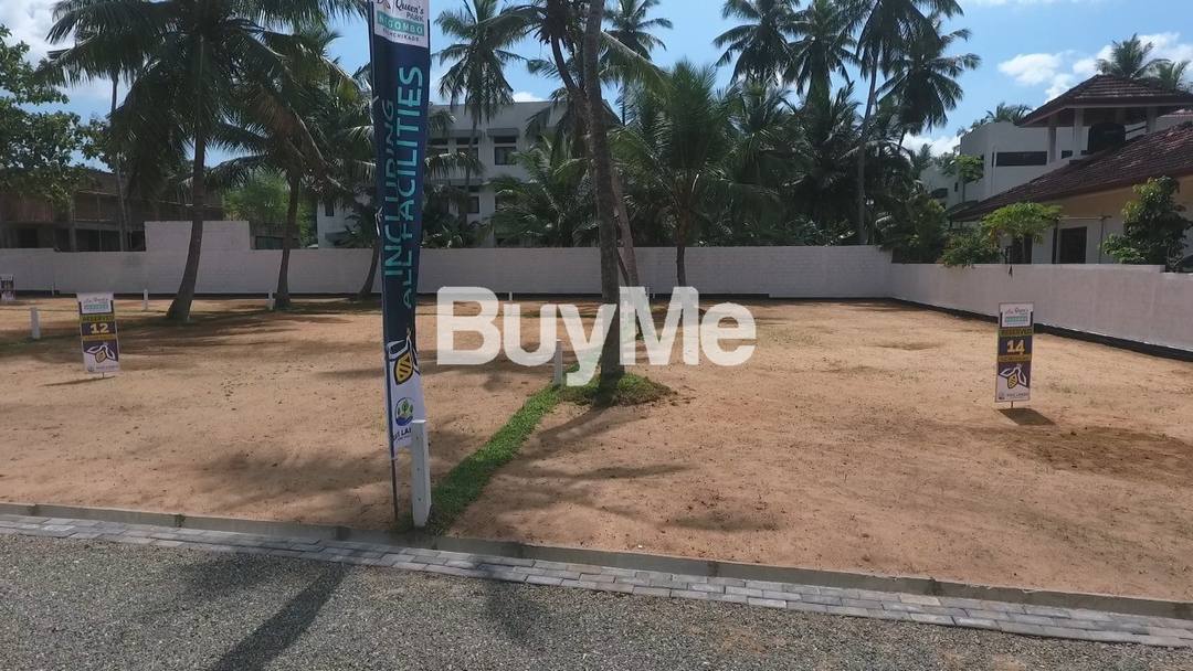 LAND FOR SALE ( QUEEN'S PARK ) NEGOMBO KOCHCHIKADE - SAVI LANDS