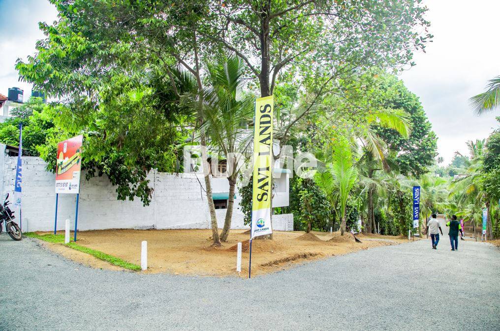 LAND FOR SALE IN KADAWATHA (SKY FOREST) - SAVI LANDS