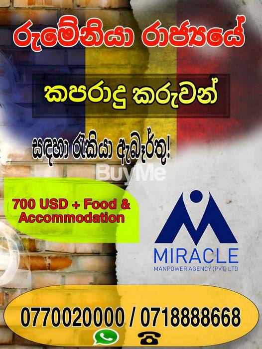 JOB OPPORTUNITIES IN ROMANIA