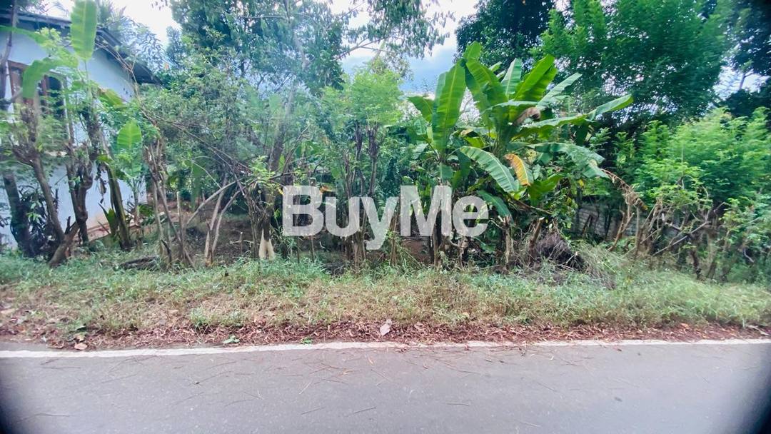 LAND FOR SALE