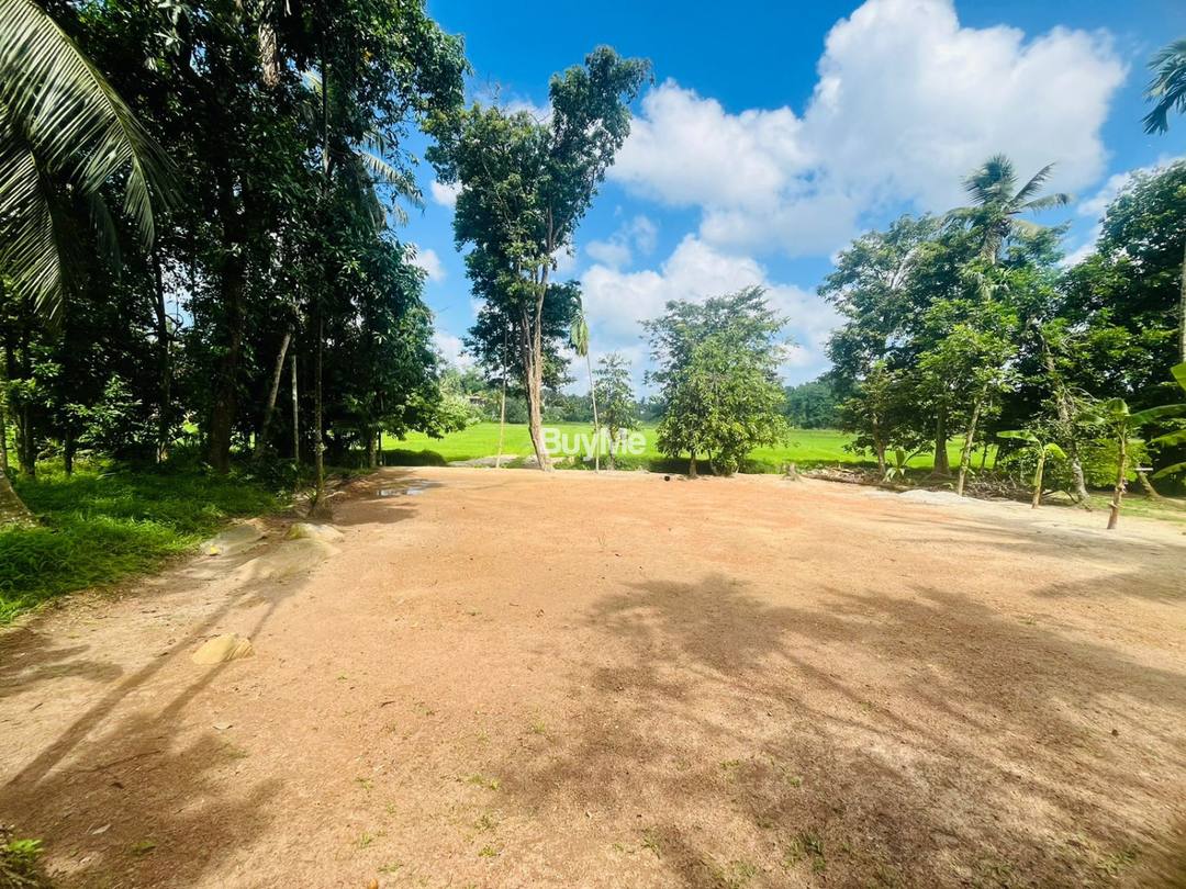 A QUIET AND BEAUTIFUL LAND FOR SALE FACING A BEAUTIFUL PADDY FIELD