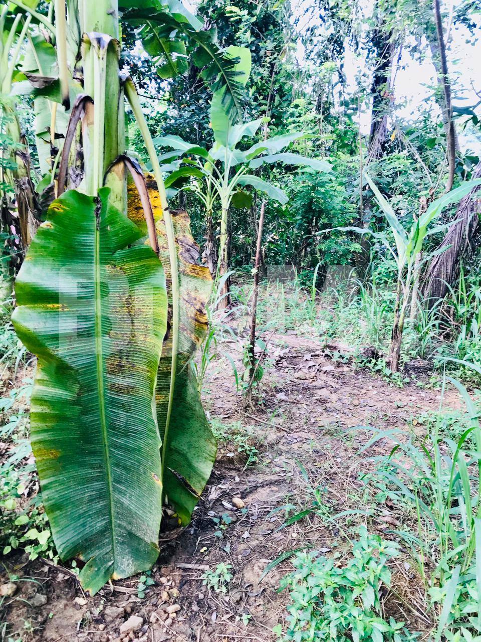 LAND FOR SALE IN BALANGODA (ELLEPOLA)