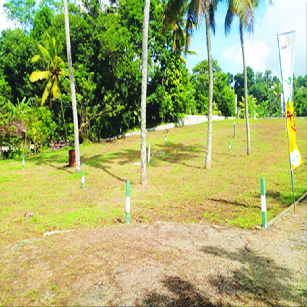 LAND FOR SALE - (රන් නියර - වැලිවේරිය)