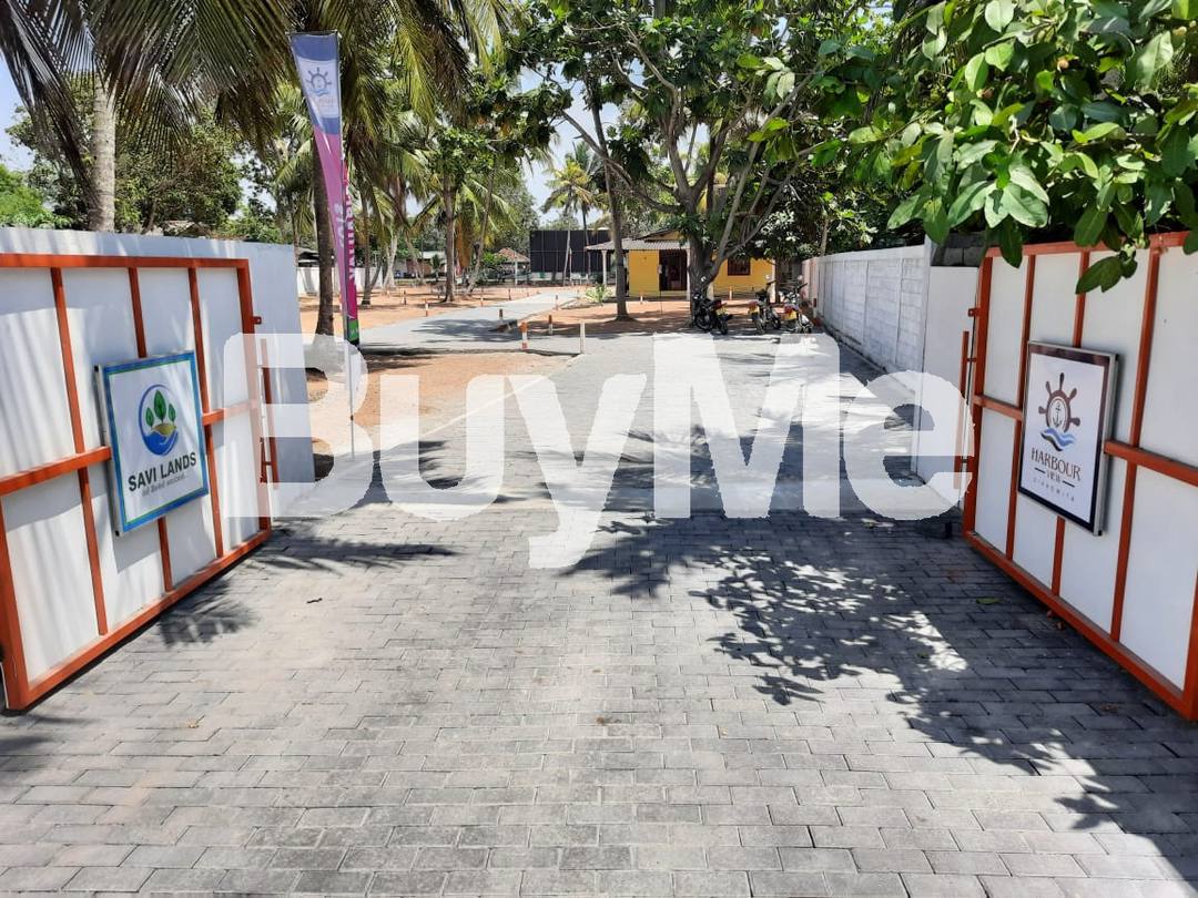 LAND FOR SALE IN WATTALA - SAVI LANDS