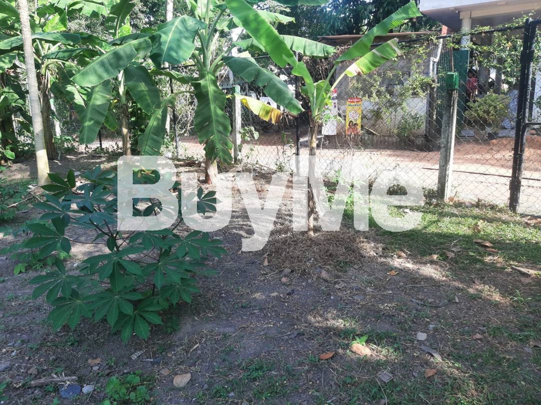 PEACEFUL VALUABLE LAND FOR SALE IN YAKKALA
