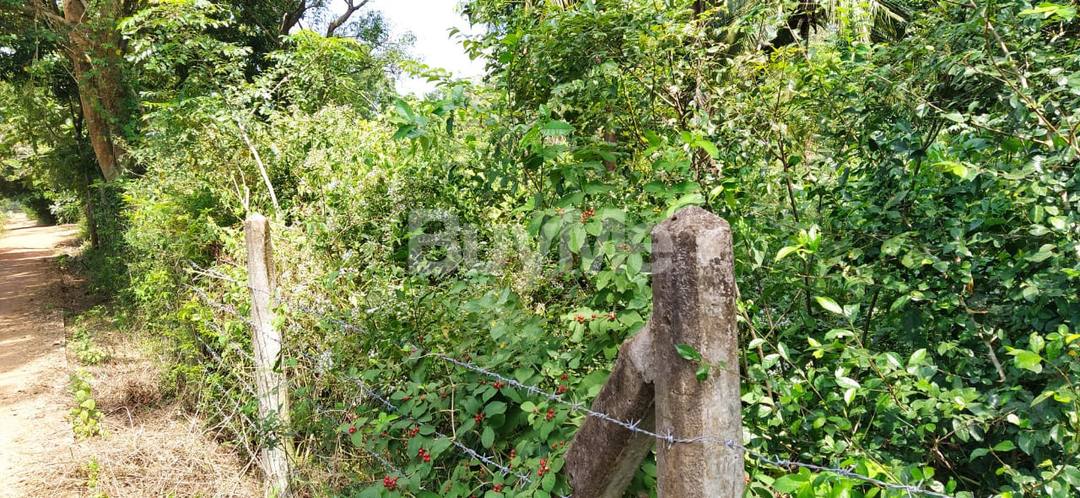 LAND FOR SALE VAVUNIYA TOWN