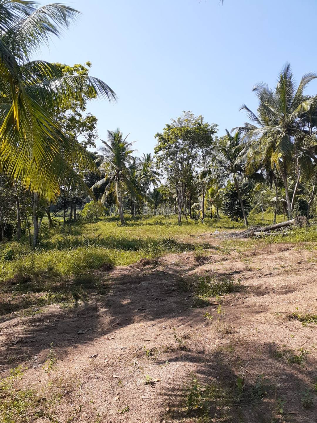 Land for sale at matara
