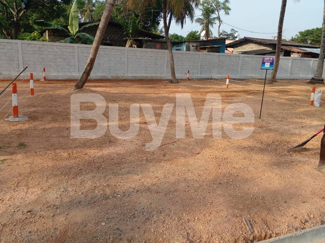 LAND FOR SALE IN WATTALA (SAVI LANDS)