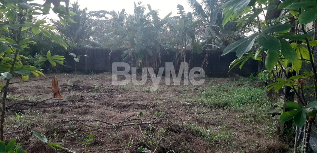 VALUABLE LAND FOR SALE IN HOMAGAMA  AT RANALA