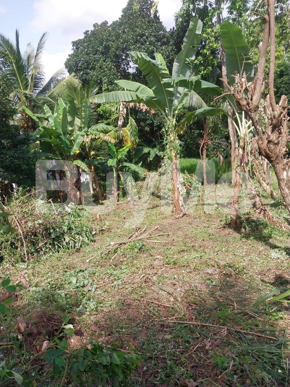 20 PERCHES OF LAND FOR SALE IN GAMPAHA