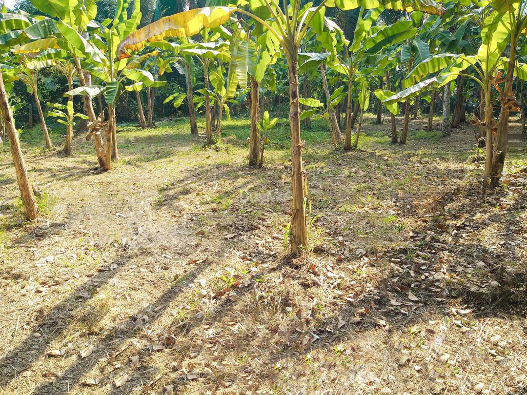 LAND FOR SALE IN NITTAMBUWA