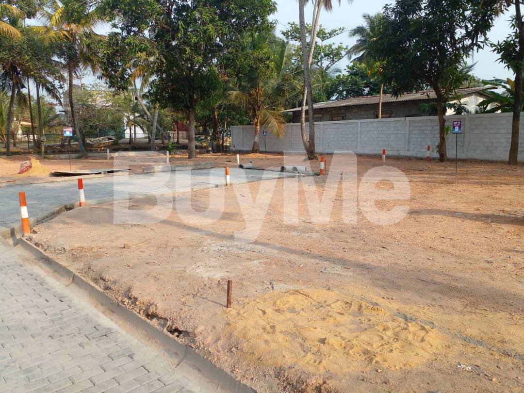 LAND FOR SALE IN WATTALA - SAVI LANDS