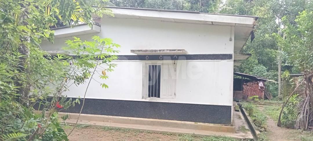 LAND AND HOUSE SALE